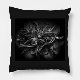 Backyard Flowers In Black And White 67 Pillow