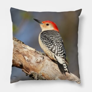 Red Bellied Woodpecker Pillow