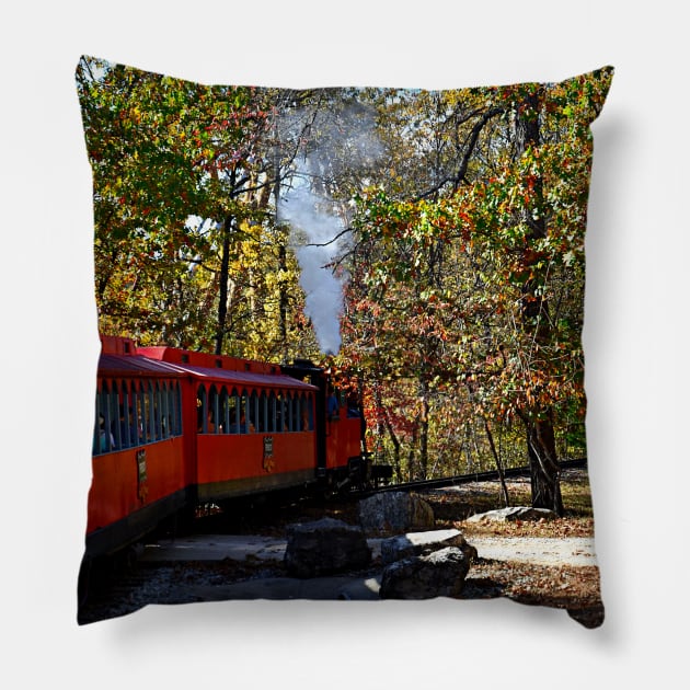 Train Ride Pillow by Zotty4life 