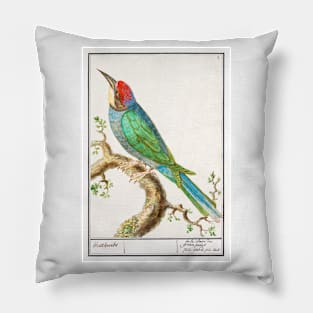 European bee-eater (1596 - 1610) Pillow