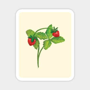 Wild strawberry (Fragaria vesca) - Illustration on beige background Magnet