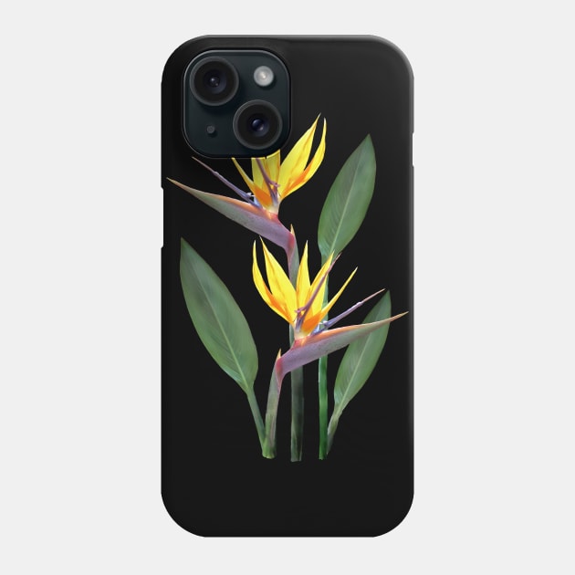 Strelitzia a Tropical Flower in Kenya - Africa Phone Case by T-SHIRTS UND MEHR