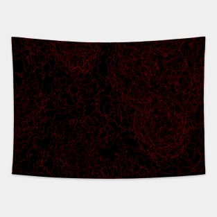 Abstract Lava Pattern Tapestry