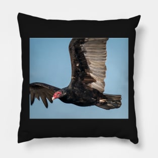 Turkey Vulture Up Close Pillow