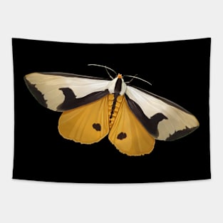 Clymene Moth - showin' and hidin' Tapestry