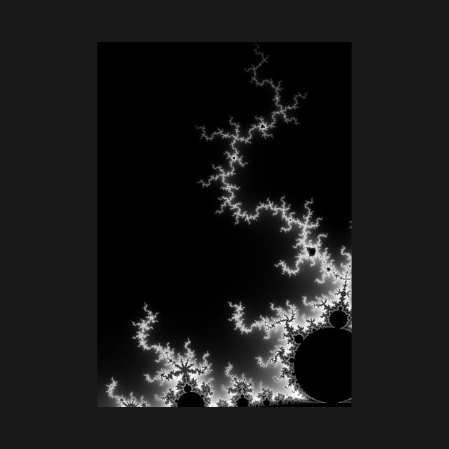 Monochrome Mandelbrot  2018-12-29-029 by rupertrussell