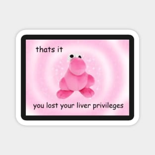 thats it You Lost Your Liver Privileges meme, funny memes Magnet