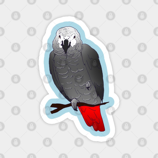 African Grey Parrot Perching on a Branch Magnet by Einstein Parrot