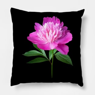 Peonies - One Pink Peony Pillow