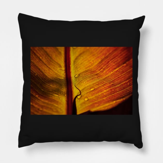 Red Banana Leaf Pillow by richard49