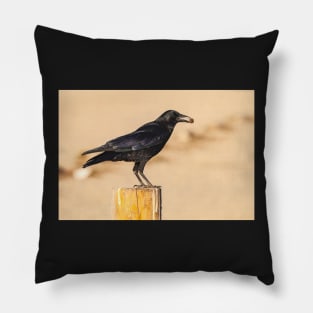 American Crow Pillow
