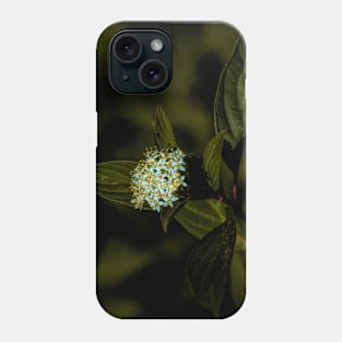 Flowers in the mountains. Phone Case