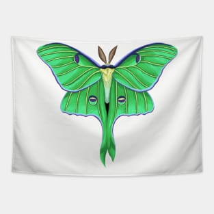 Luna Moth Tapestry