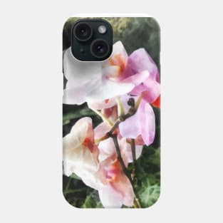 Pale Pink Phalaenopsis Orchids Phone Case