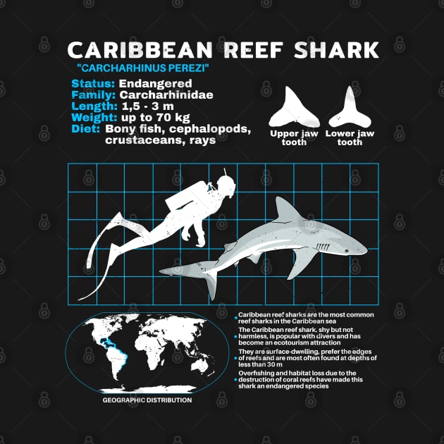 Caribbean Reef Shark Fact sheet by NicGrayTees