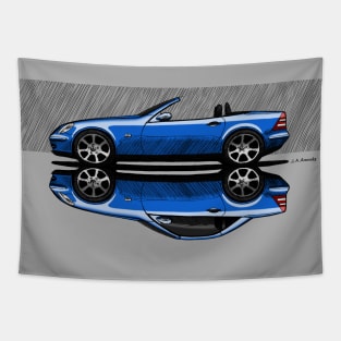 The German convertible and coupe sports car Tapestry