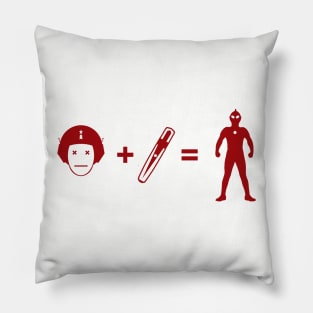 Ultra 1966 Equation Pillow