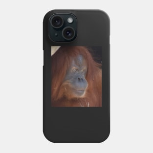 Orangutan Phone Case