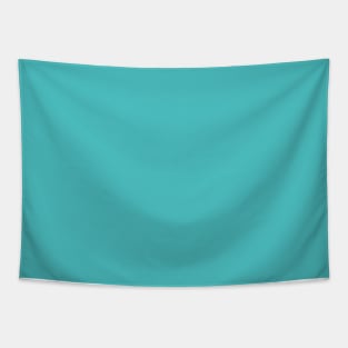 Solid Blue Bora Bora Turquoise Monochrome Minimal Design Tapestry