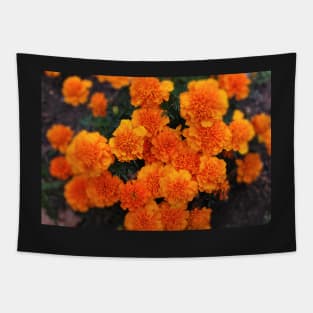 Mexican marigold flower Tapestry