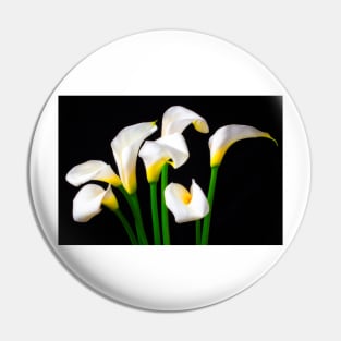 Lovely White Calla Lilies Pin