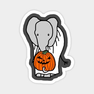 Elephant with Halloween Horror Pumpkin Ghost Costume Magnet