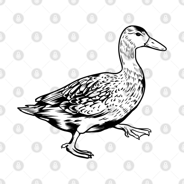 Line drawing - duck by Modern Medieval Design