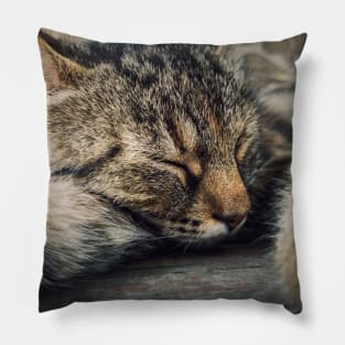 sleeping cat Pillow