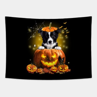 Border Collie Spooky Halloween Pumpkin Dog Head Tapestry