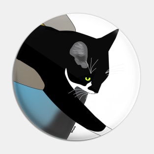 Cute Tuxedo Cat needs a bigger Igloo bed Copyright TeAnne Pin