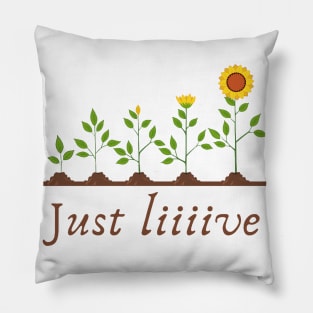 Just Live your life  and forget the difference. Pillow