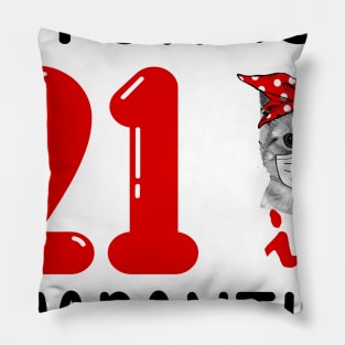 I Turned 21 In Quarantine Funny Cat Facemask Pillow