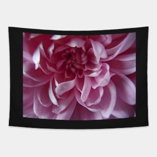 Pink petals Tapestry