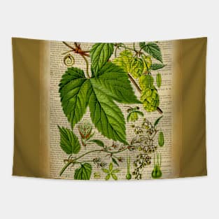 Botanical print, on old book page Hoops Tapestry