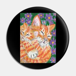 orange ginger kitten Pin