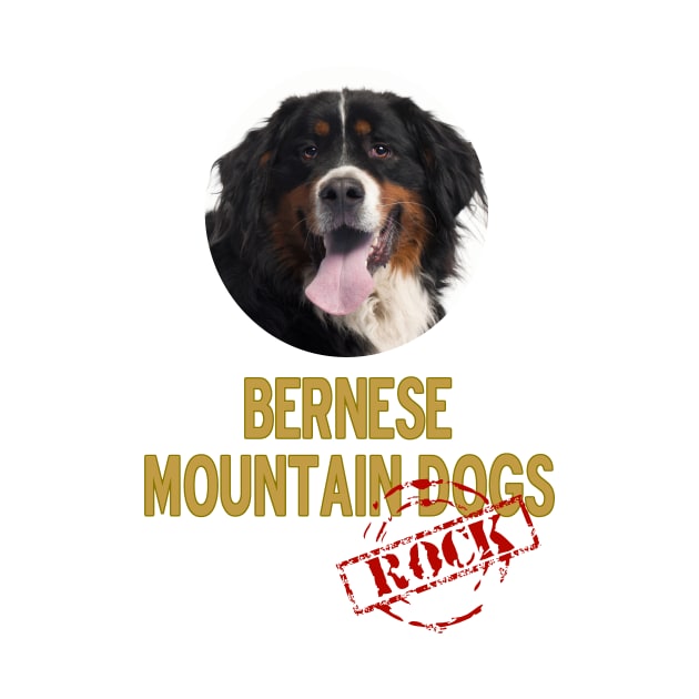 Bernese Mountain Dogs Rock by Naves