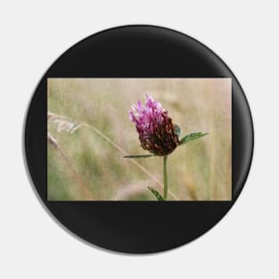 Clover and Wild Grasses Pin