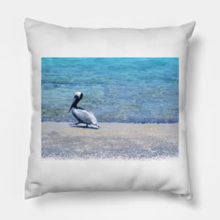 Strutting Pelican on the Beach Pillow