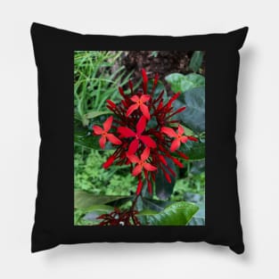 Red Christmas Floral Spray of Peace and Joy Pillow