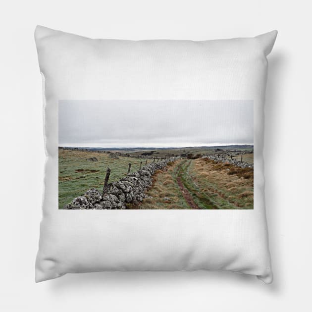 GR_010_WGC Pillow by wgcosby