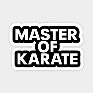 master of karate Magnet