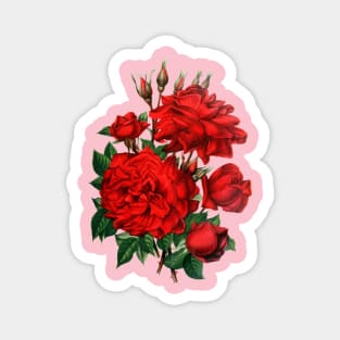 Red Roses Illustration Magnet