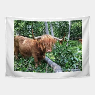 Scottish Highland Cattle Cow 2042 Tapestry