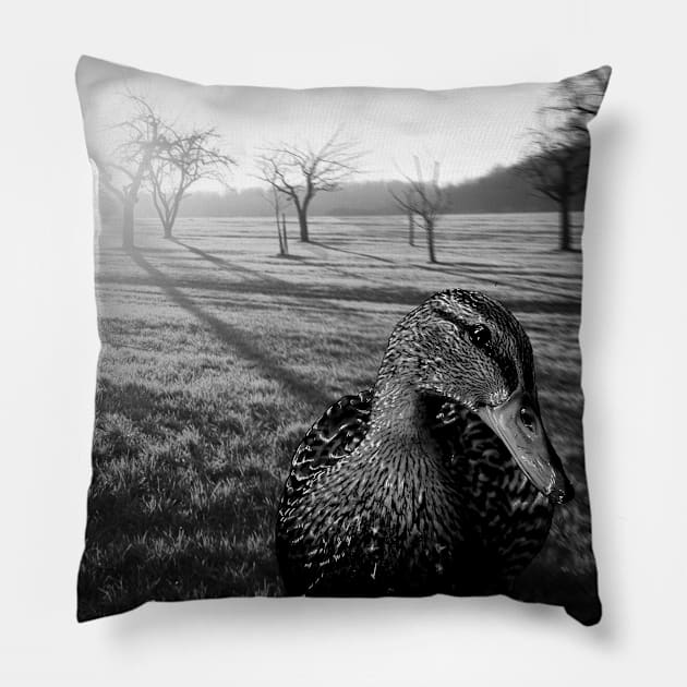 black and white duck, and country landscape Pillow by KG