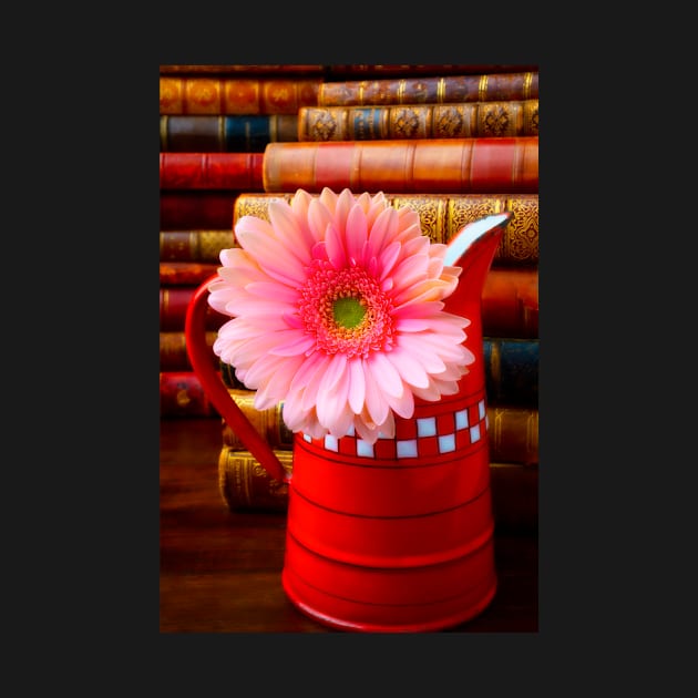 Pink Daisy In Red French Pitcher by photogarry