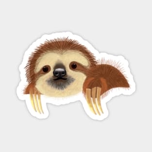 Cute Sloth Magnet