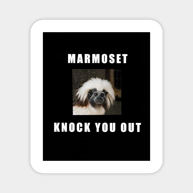 Common Marmoset Knock You Out Magnet by Kangavark