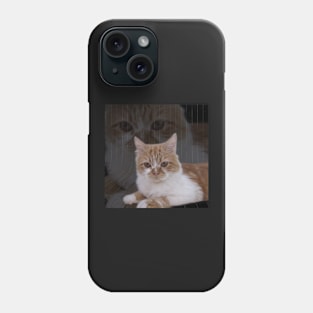 Dramatic Cute Cat Photography Phone Case