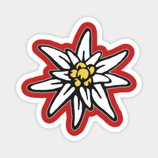 Edelweiss Mountain Flower Flower Magnet