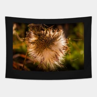 Fall Thistle Tapestry